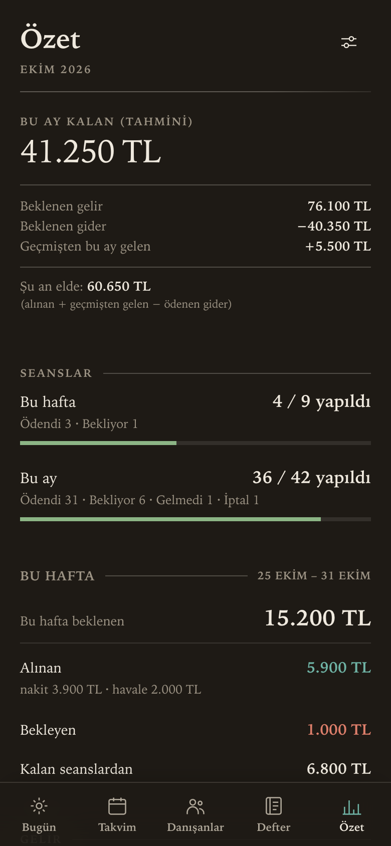 Aynı özet ekranı, koyu temada.